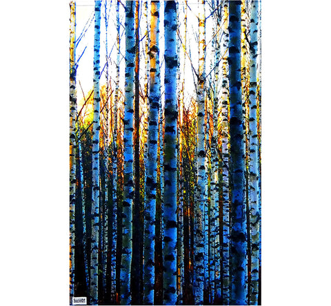 Scenery kitchen towel Nordic birch forest in sunset, 43x68 cm, 16.93x26.77", artisan handmade.
